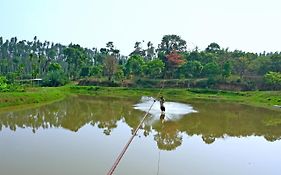 Coffeeinn Homestay - Water Activities, Jeep Ride, Home Food